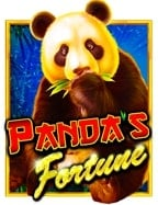 เรียนรู้วิธีเล่น pg slot สีม่วง ที่นักพนันต้องรู้